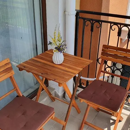 Sinevata Apartament *
